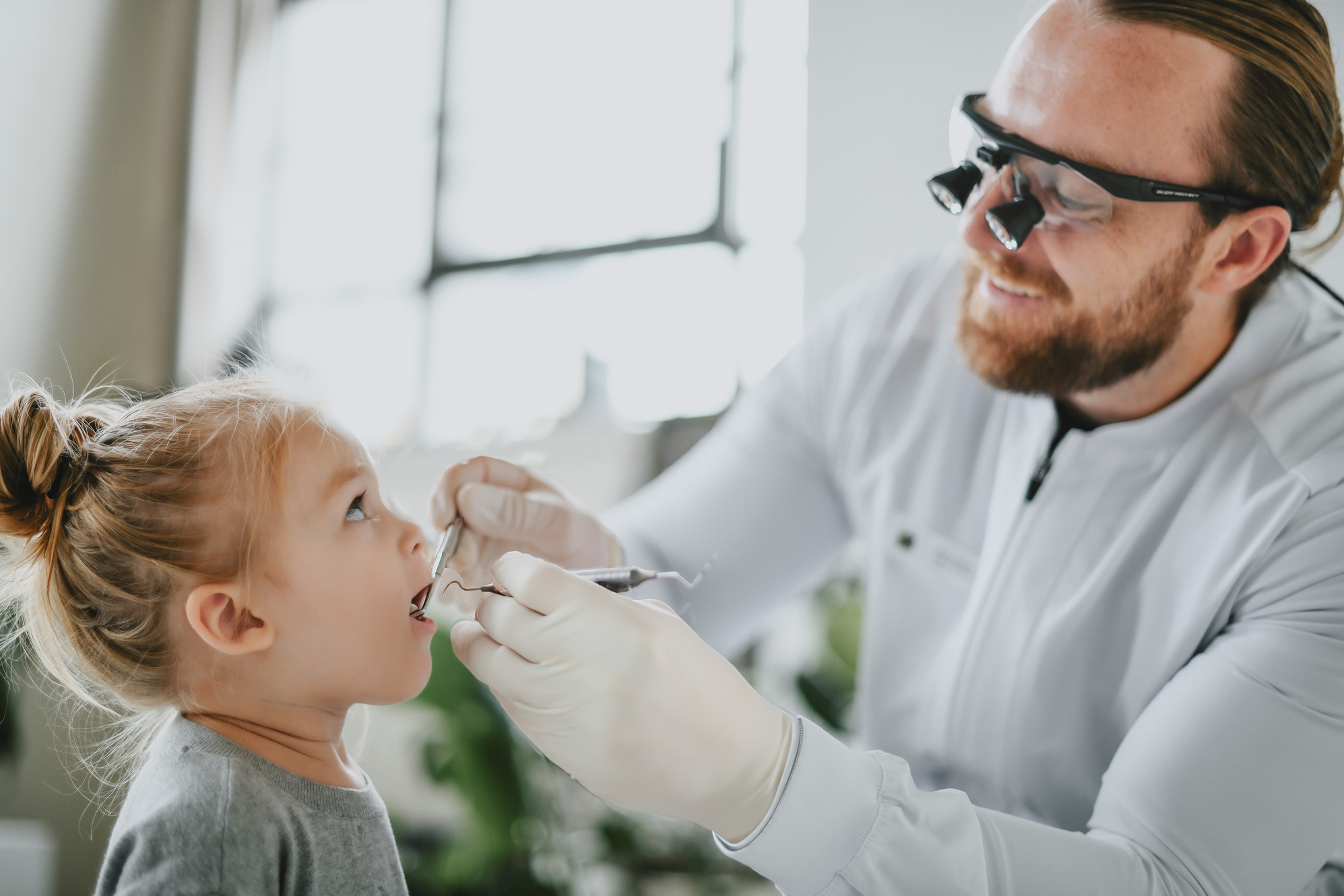 Maple Grove Dental